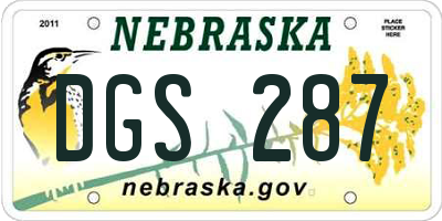 NE license plate DGS287
