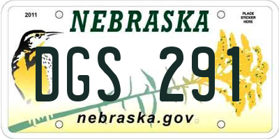 NE license plate DGS291