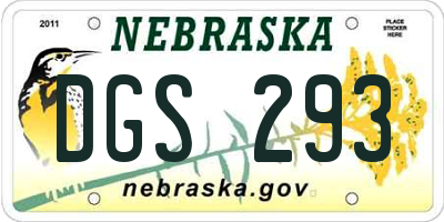 NE license plate DGS293