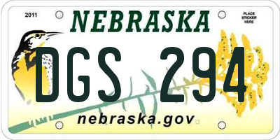 NE license plate DGS294