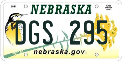 NE license plate DGS295