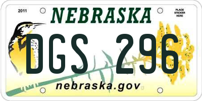NE license plate DGS296