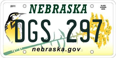 NE license plate DGS297