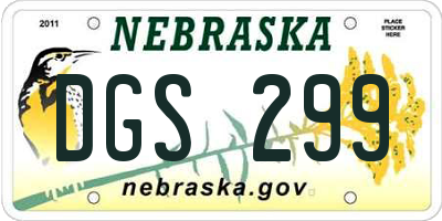 NE license plate DGS299