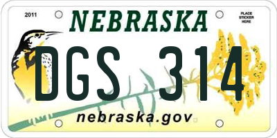 NE license plate DGS314