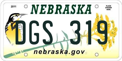 NE license plate DGS319