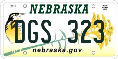 NE license plate DGS323