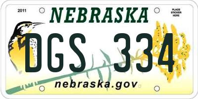 NE license plate DGS334