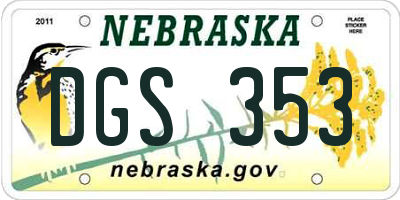 NE license plate DGS353