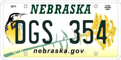 NE license plate DGS354