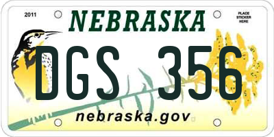 NE license plate DGS356
