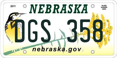 NE license plate DGS358