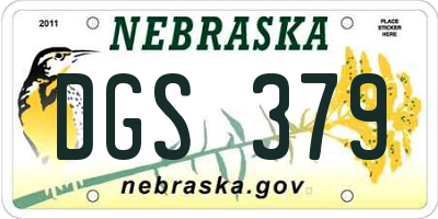 NE license plate DGS379