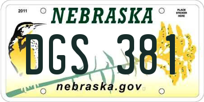 NE license plate DGS381