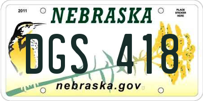 NE license plate DGS418