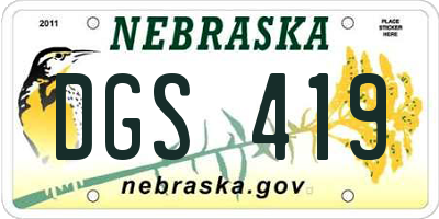 NE license plate DGS419