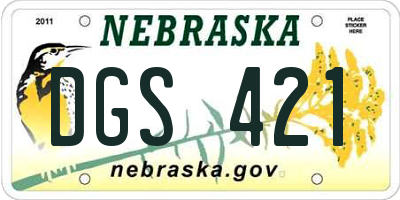 NE license plate DGS421