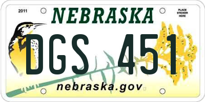 NE license plate DGS451