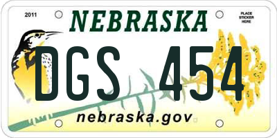 NE license plate DGS454