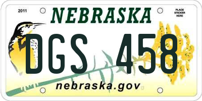 NE license plate DGS458