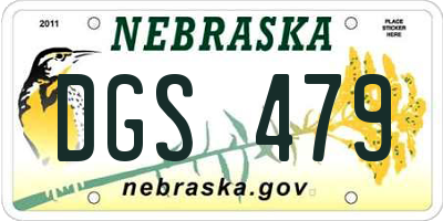 NE license plate DGS479