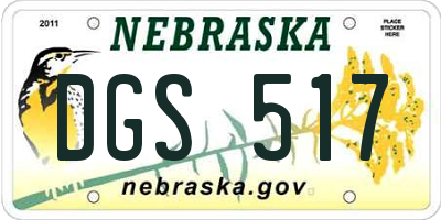 NE license plate DGS517