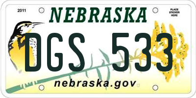 NE license plate DGS533