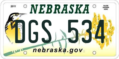 NE license plate DGS534