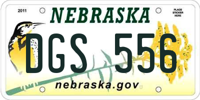 NE license plate DGS556