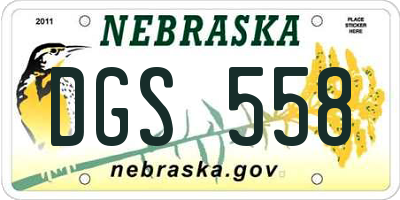 NE license plate DGS558