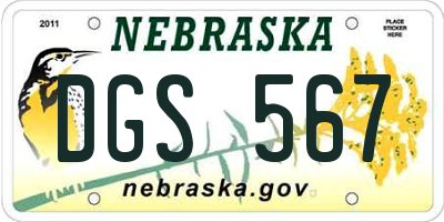 NE license plate DGS567