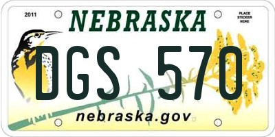 NE license plate DGS570
