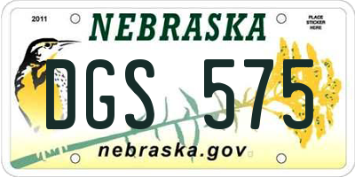 NE license plate DGS575