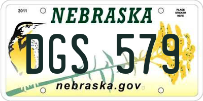 NE license plate DGS579