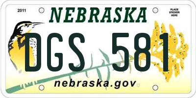 NE license plate DGS581