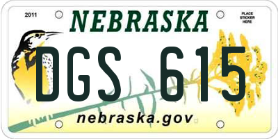 NE license plate DGS615