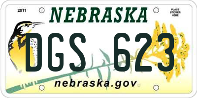 NE license plate DGS623