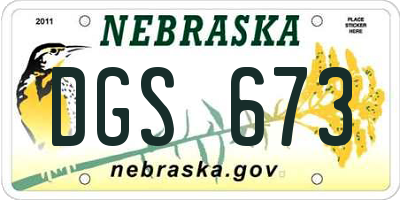 NE license plate DGS673