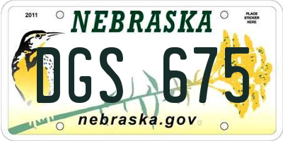NE license plate DGS675