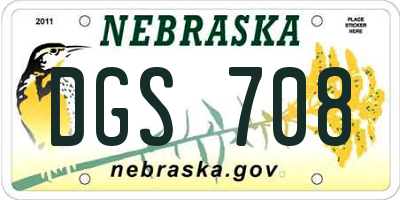 NE license plate DGS708