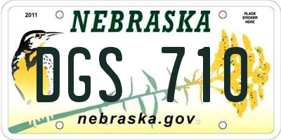 NE license plate DGS710