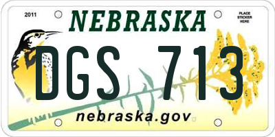 NE license plate DGS713
