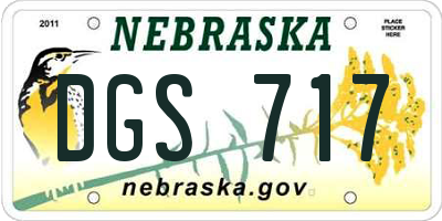 NE license plate DGS717