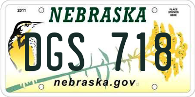 NE license plate DGS718