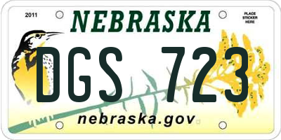 NE license plate DGS723