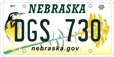 NE license plate DGS730