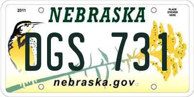 NE license plate DGS731
