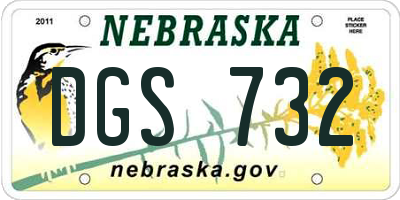 NE license plate DGS732