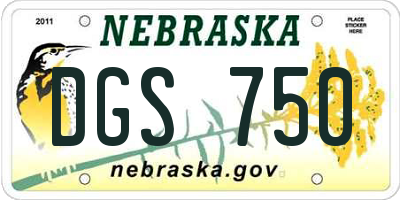 NE license plate DGS750