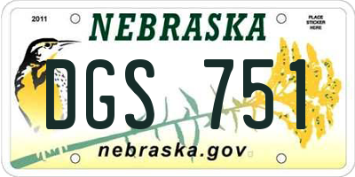 NE license plate DGS751